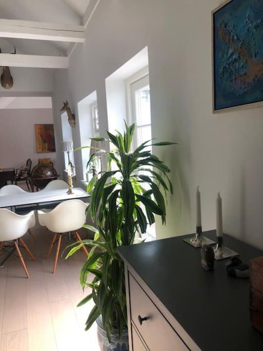 Cozy, Quiet Guest House Perfect For Business Or Pleasure Hillerød Exterior foto
