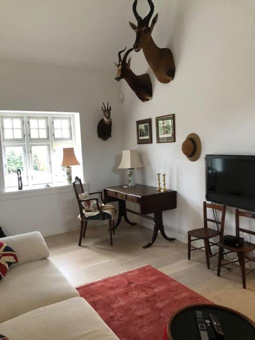 Cozy, Quiet Guest House Perfect For Business Or Pleasure Hillerød Exterior foto